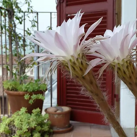 Casa Forster Langhe Kır Evi